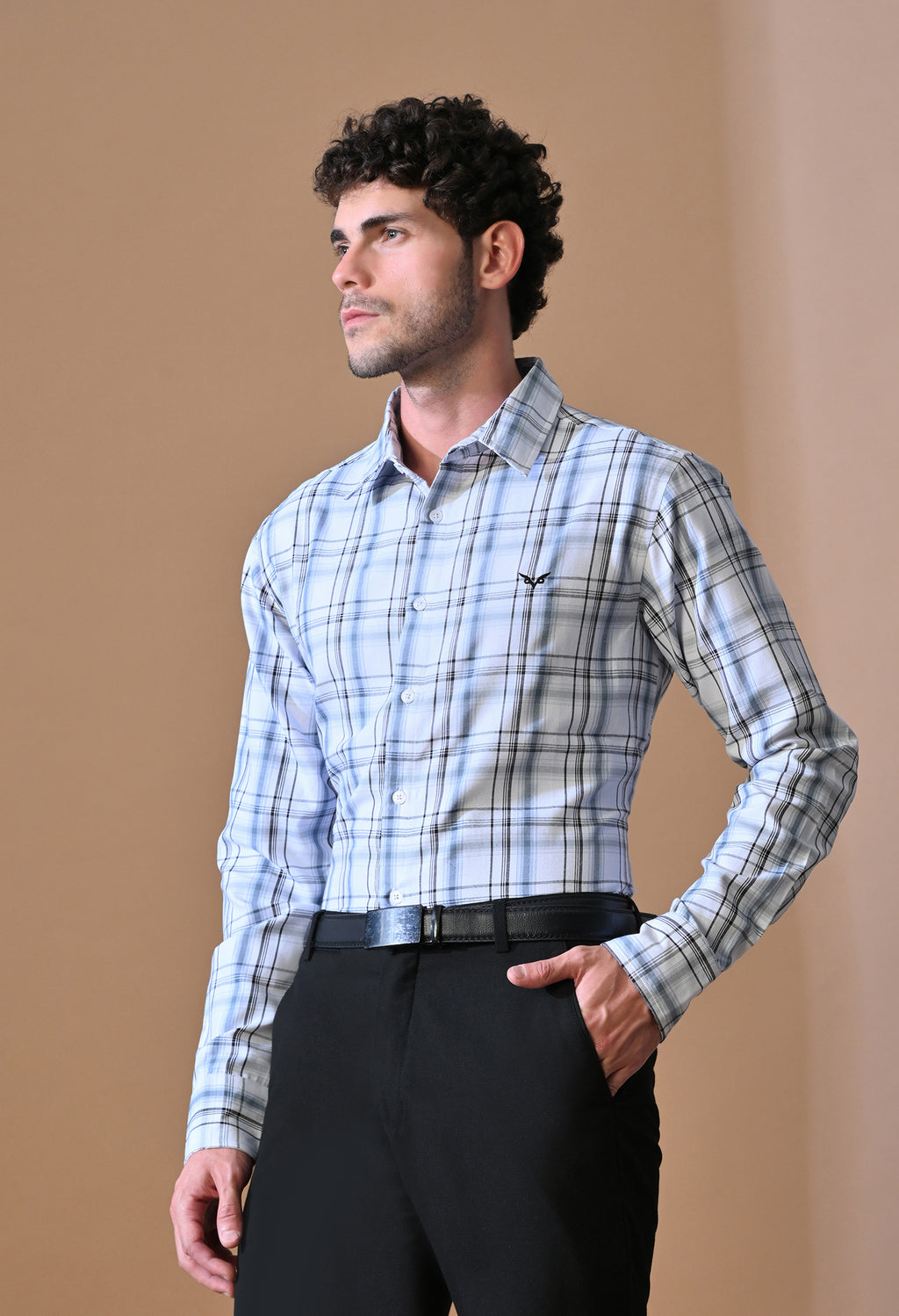 Classic Blue & Grey Plaid Button-Up Shirt